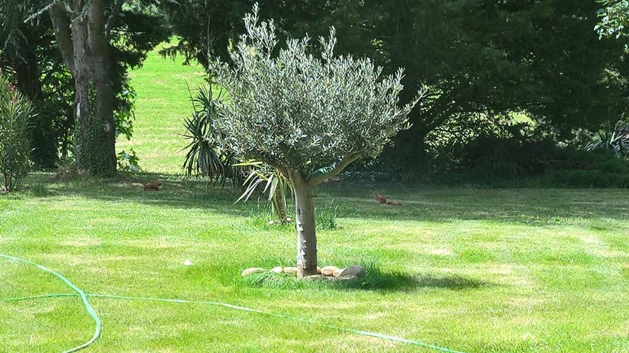 Chambres D'Hotes L'Echappee Belle Beauvallon  Εξωτερικό φωτογραφία